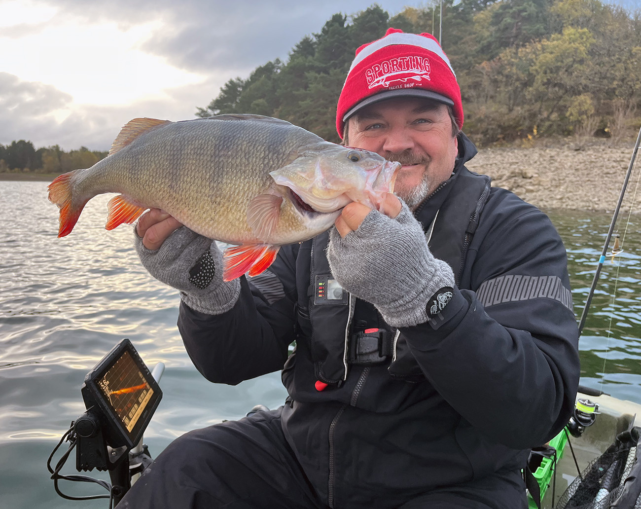 Attitude Baits NED Heads